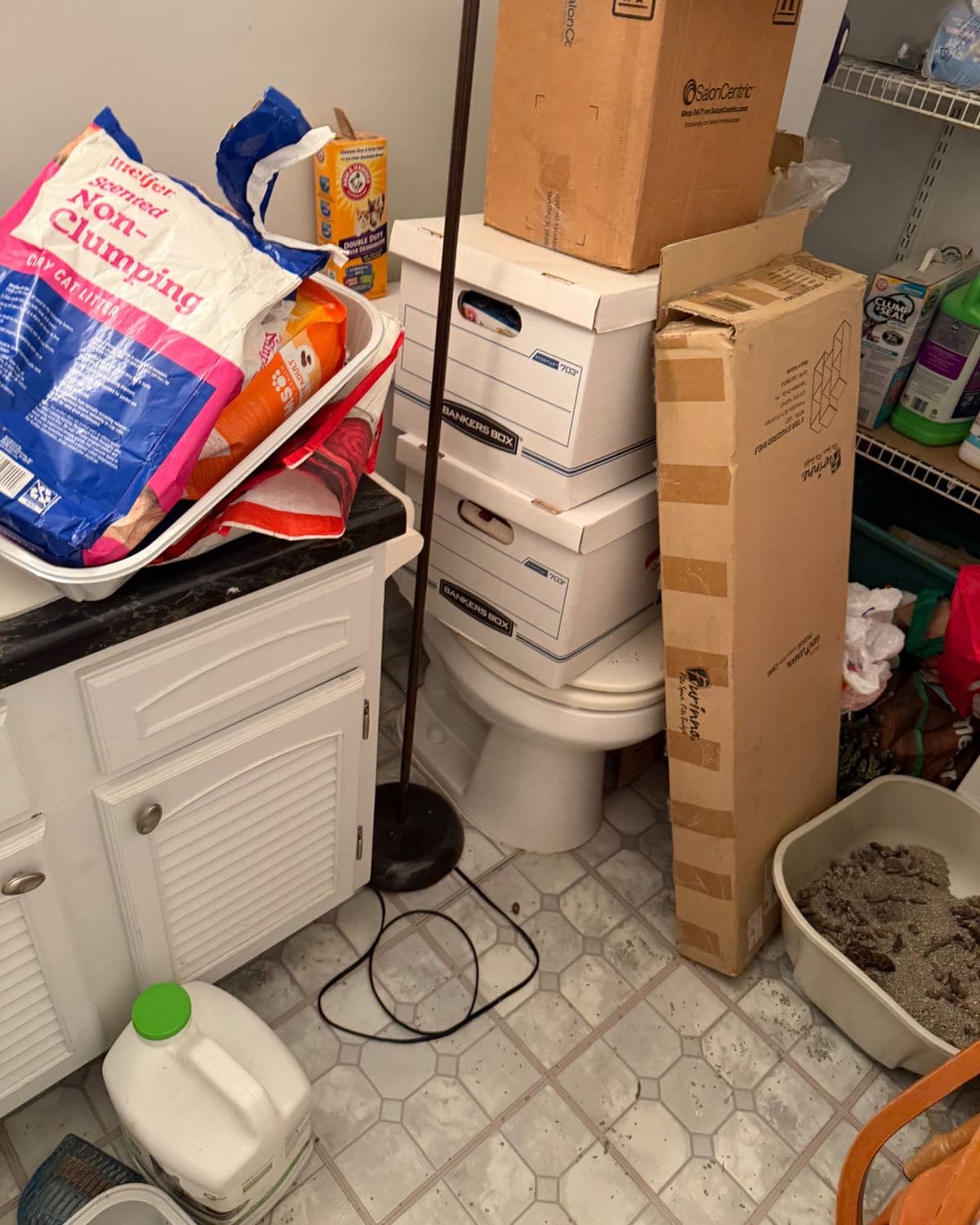 Bathroom before cleanup: litter boxes on the floor, boxes stacked beside the toilet, supplies piled on the vanity