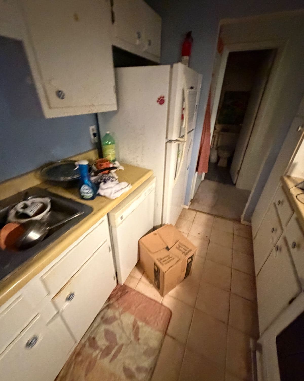 Galley kitchen before cleanup, with dishes in the sink and a stained floor runner